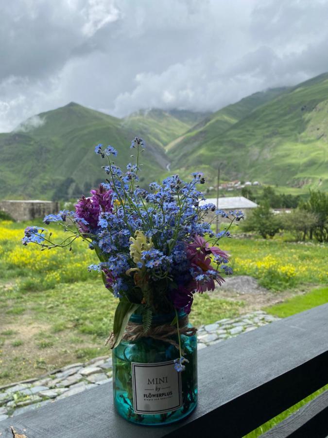 Cottage Kazbegi Sioni 外观 照片
