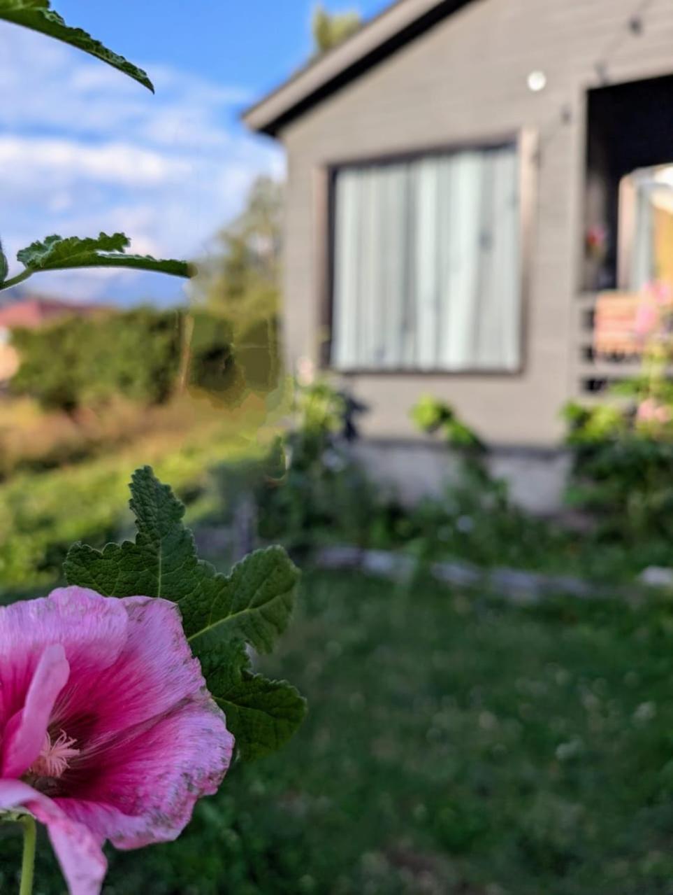 Cottage Kazbegi Sioni 外观 照片